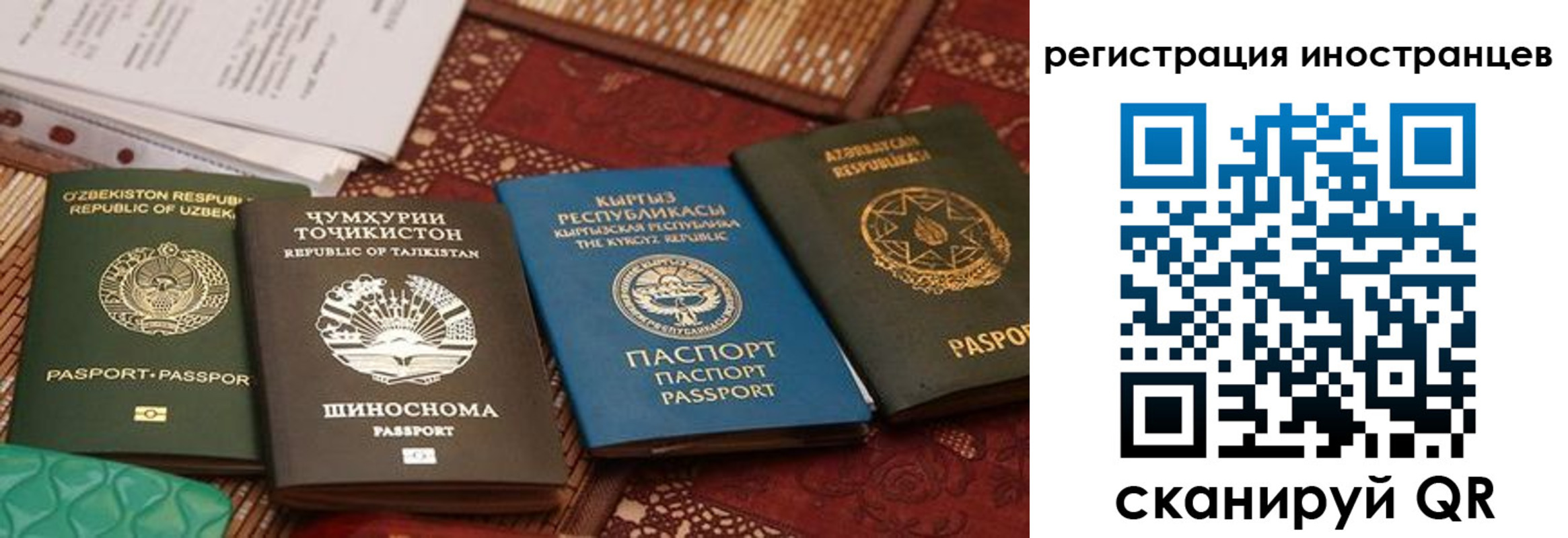 временная регистрация госуслуги в Коле